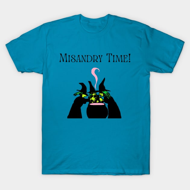 Misandry Time! T-Shirt by Hoydens R Us